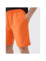 Pánské rychleschnoucí tréninkové šortky model 21434227 - 4F