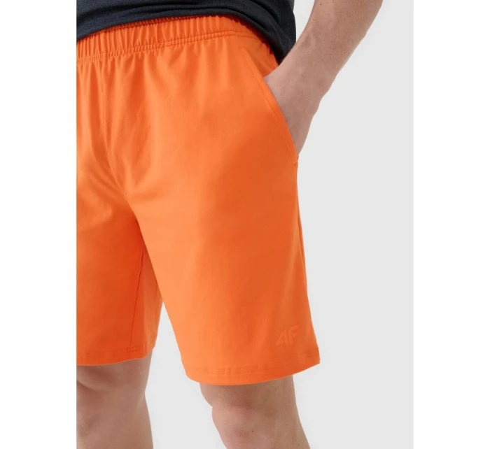 Pánské rychleschnoucí tréninkové šortky model 21434227 - 4F