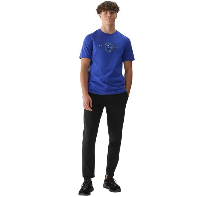 Tričko M model 21401733 33S pánské - 4F Tričko M model 21401733 33S pánské - 4F