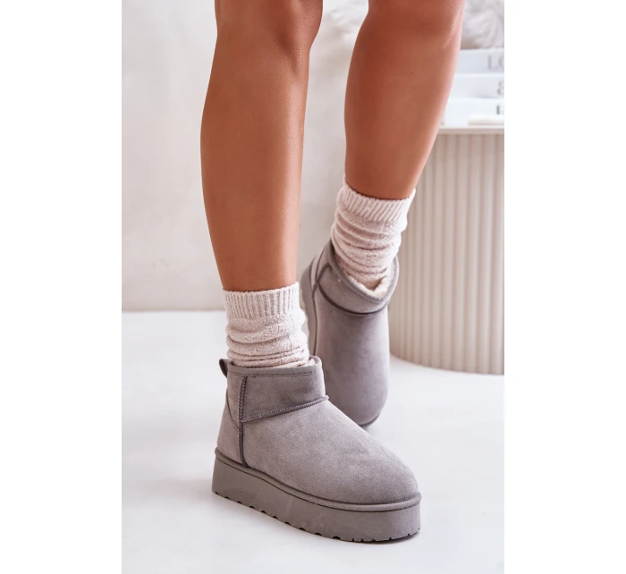 Dámské Sněhule Na Platformě Zateplené Kožíškem Šedé model 21672076 - Boto