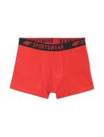 Chlapecké boxerky  3ks vícebarevné JWAW25UBXS 90S model 21343669 - 4F