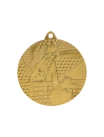 zlatá medaila - volejbal