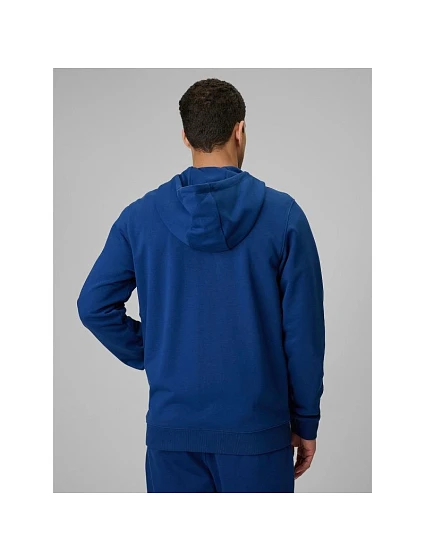 Pánská mikina model 22193853 na zip s kapucí - 4F