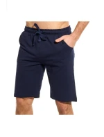 PÁNSKE ŠORTKY TS001 PÁNSKE ŠORTKY TS001
