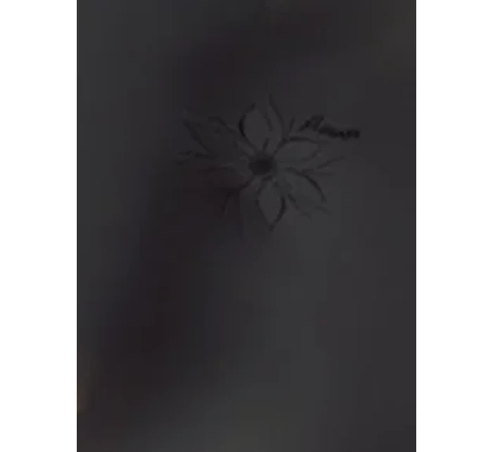 Dámské kalhotky Emili Flower