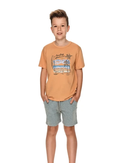 Chlapčenské pyžamo 2749 Wadim cinnamon - TARO