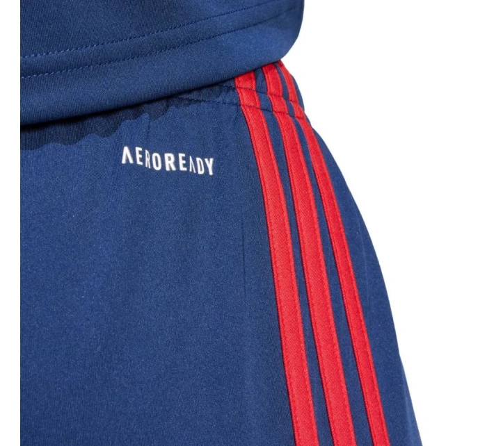 Šortky adidas Squadra 25 M JH3408