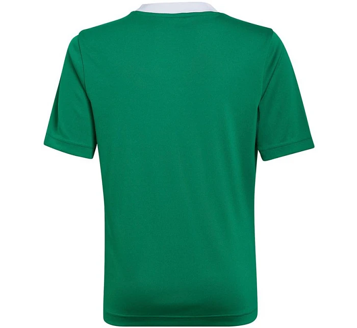 Detské tréningové tričko Entrada 22 Jr HI2126 - Adidas