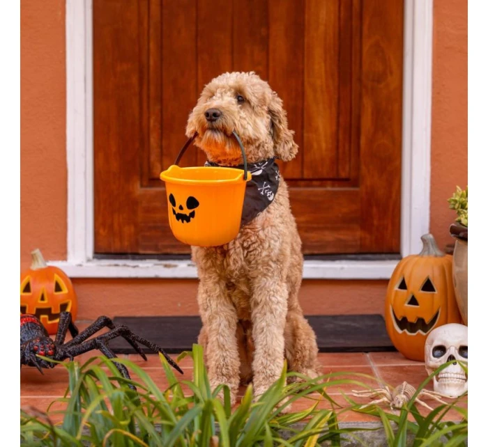 HALLOWEENSKE VEDRO NA SLADKOSTI 17CM