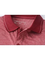 JN Pánské žerzejové polo 02.0 wine model 22488425 - Daiber JN Pánské žerzejové polo 02.0 wine model 22488425 - Daiber