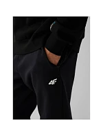 Spodnie dresowe joggery męskie model 22548177 - 4F Spodnie dresowe joggery męskie model 22548177 - 4F