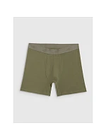 Pánské boxerky (3 balení) model 22117233 - 4F