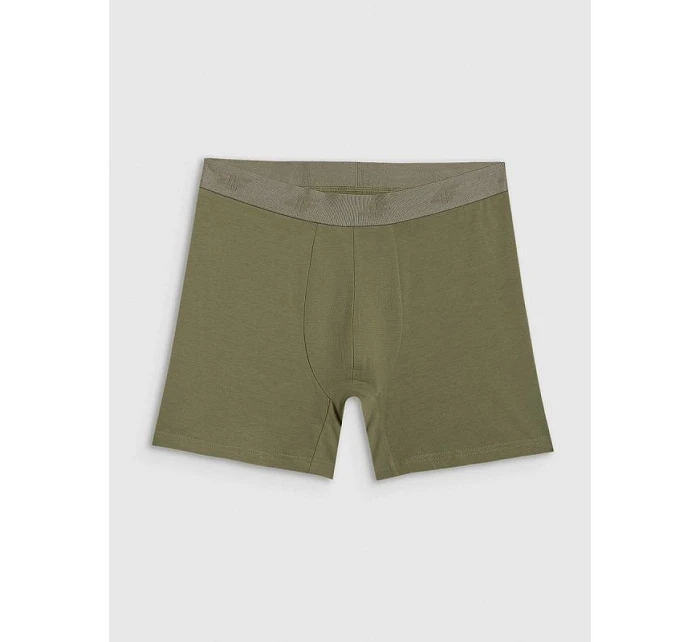 Pánské boxerky (3 balení) model 22117233 - 4F