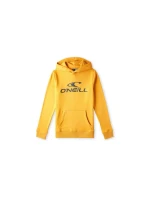 O'Neill Logo Hoodie Jr 92800615006