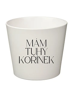 MÁM TUHÝ KOŘÍNEK - malý květináč