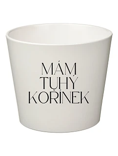 MÁM TUHÝ KOŘÍNEK - malý květináč