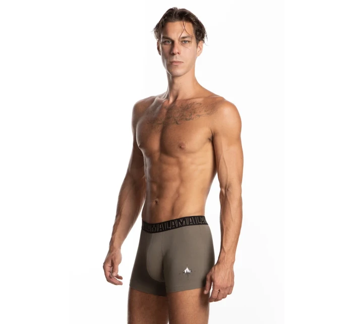 PÁNSKE ŠORTKY M-1058SZG 2-PACK