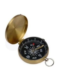 model 21909767 - Meteor