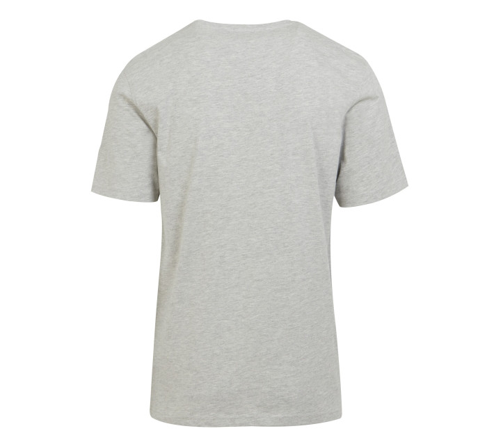Pánske tričko Cline VIII RMT284-C9J sivé - Regatta