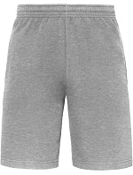 Iconic 250 Shorts Teplákové kraťasy heather model 22459270 - Fruit of the Loom Iconic 250 Shorts Teplákové kraťasy heather model 22459270 - Fruit of the Loom