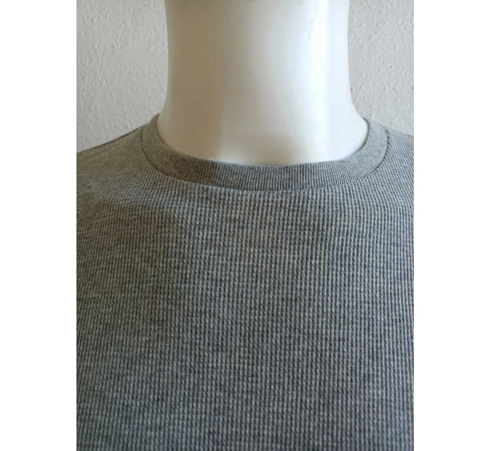 Pánské tričko dlouhým rukávem model 21066322 šedé - Ralph Lauren