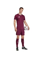 Pánské šortky Entrada 26 bordó model 22058607 - ADIDAS