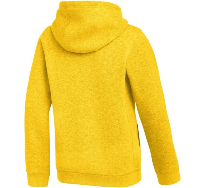 Dětská mikina Park 26 Fleece Hoodie yellow model 21950267 719 - NIKE