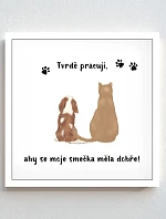 Personalizovaný magický fotob obraz v ráme – štvorcový 20x20 – ilustrácie domácich miláčikov