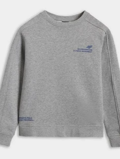 Mikina JUNIOR model 21730015 - 4F