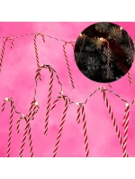 SVETLÁ GIRLANDA 10 VIEDOL LÍZATKO TYČINKY VIANOČNÝ STROMČEK TEPLÁ BIELA LUCA