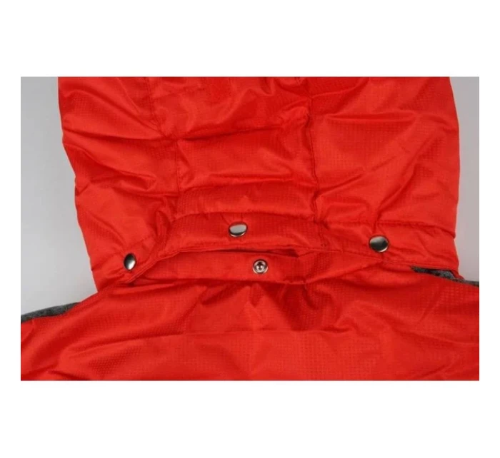 Dámská lyžařská bunda W model 17916056 - B2B Professional Sports Dámská lyžařská bunda W model 17916056 - B2B Professional Sports