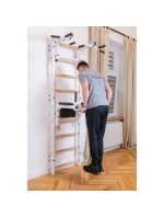 GYMNASTICKÝ REBRÍK S NASTAVITEĽNOU TYČOU A ZÁBRADLÍM BENCHK 732W