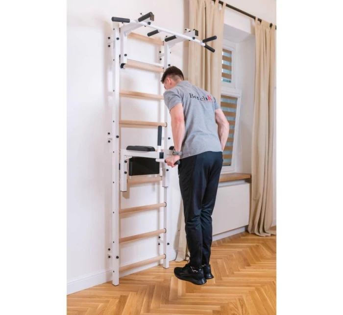 GYMNASTICKÝ REBRÍK S NASTAVITEĽNOU TYČOU A ZÁBRADLÍM BENCHK 732W