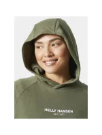 Core Hoodie Dress W model 20116686 421 - Helly Hansen Core Hoodie Dress W model 20116686 421 - Helly Hansen