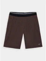 Pánske športové šortky 4F