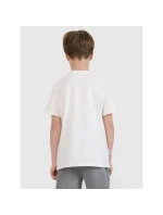Chlapecké tričko s potiskem model 21435367 - 4F