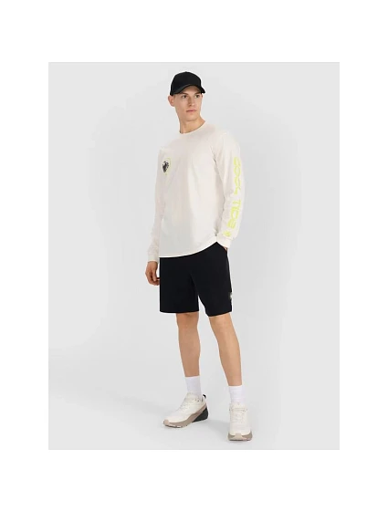 Pánské tričko s potiskem Regular Longsleeve model 21434584 pánské - 4F