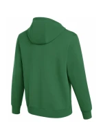 Pánska mikina Nike Park 26 Fleece Hoodie Green IB1222 302 Pánske