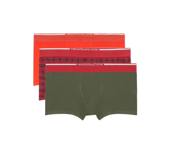 Pánské boxerky 3Pack model 20896373 - Diesel