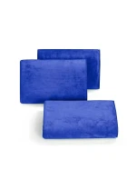 Ručník Amy model 20962383 rychleschnoucí - Eurofirany