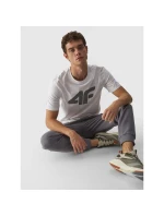 Pánske tričko s potlačou 4F 4FWMM00TTSHM1844-10S pánske