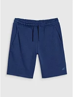 Pánske šortky regular fit SHOM543-031S modré - 4F