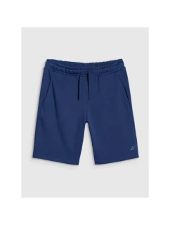 Pánske šortky regular fit SHOM543-031S modré - 4F