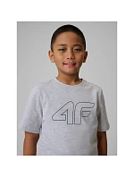 Chlapecké tričko s potiskem model 22132210 - 4F