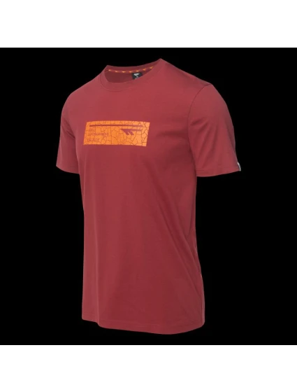 Pánske tričko s krátkym rukávom HAMILONI