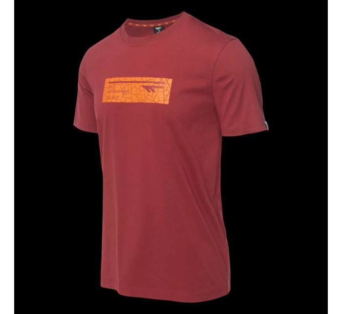 Pánske tričko s krátkym rukávom HAMILONI