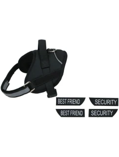 DLA Z 37 - CM model 21832821