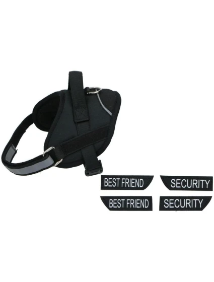 DLA Z 37 - CM model 21832821 DLA Z 37 - CM model 21832821