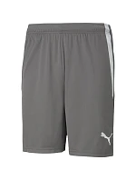 teamLIGA M model 21287999 13 šortky - Puma