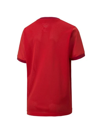 teamGOAL 23 Jersey Jr model 19004826 01 tričko - Puma